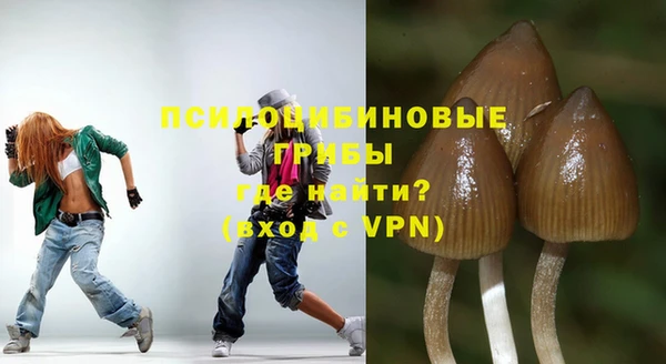 a pvp Гусь-Хрустальный