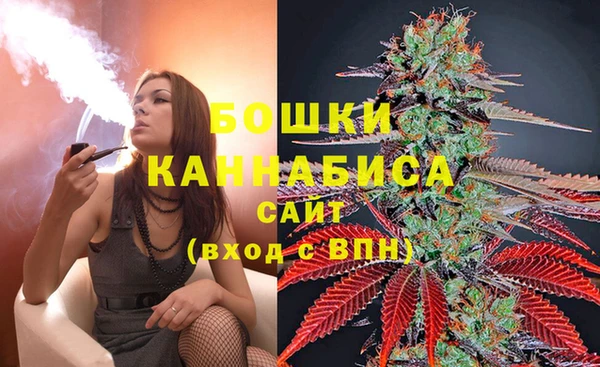 спайс Горняк