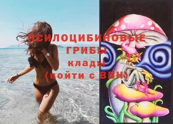 спайс Горняк