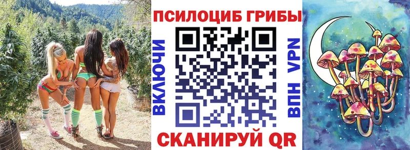 Галлюциногенные грибы ЛСД  Купить где  Зея 