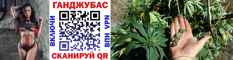 Купить где  Зея  Марихуана White Widow 